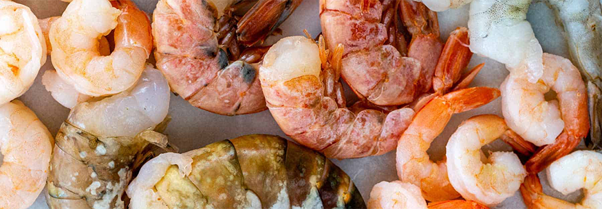 type of shrimp , shrimp , vannamei